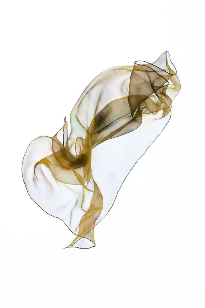 pañuelo-de-seda-aire-10-Alfredo-Arranz-luxury-scarve-silk